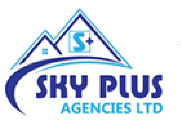 Sky Plus Logo